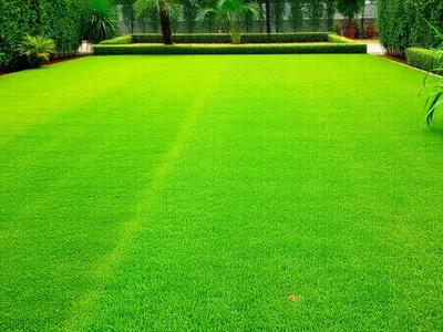 1 & 2 BHK Homes in Virar West